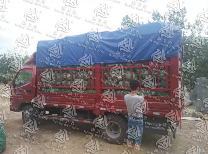 一次水果APP下载IOS版餐具回收